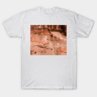 Abstract Painting Terracotta Rust Clay 12c12 T-Shirt